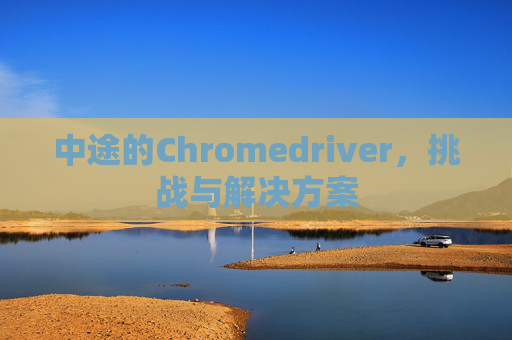 中途的Chromedriver，挑战与解决方案